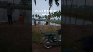 పల్లెటూరి అందాలు# beautiful nature of my village# viral videos