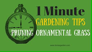 One Minute Garden Tip For Ornamental Grasses