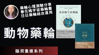 動物藥輪 | 春花媽宇宙藥輪書 | 日日藥輪結合運用  |  @alchemysoulight ​