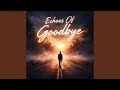 Echoes Of Goodbye