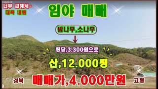 물번,580번) 싼 임야 12.000평 준보전산지.1.170평 포함 몽땅,4.000만원에 급매매합니다 일전에 5.400만원에 나온 금액 1.400만원 대폭 인하 하였습니다.