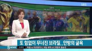 [월드컵] 네덜란드, 브라질 꺾고 3위...자존심 구긴 삼바군단 (SBS8뉴스|2014.7.13)