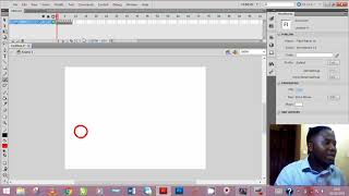 Adobe Flash interface for Beginners