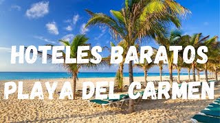 3 Hoteles Baratos Playa Del Carmen🔵 TODO INCLUIDO!!!