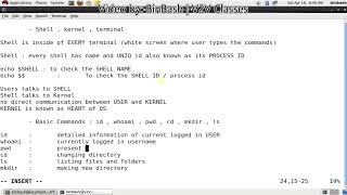 Shell Scripting Lecture 3 Linux Overview and basic Commands shell scripting t