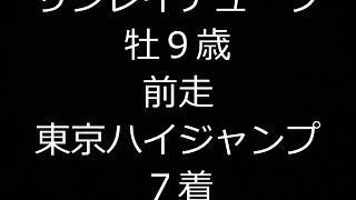 中山大障害２０１７登録馬