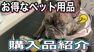 【元保護犬フレブル】…お得に！訳あり？…【2020年】春夏物・秋冬物…ペット用品…購入品のご紹介！