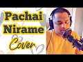 Pachchai Nirame Cover | Alaipayuthey | A R Rahman | Madhavan, Shalini | Adithyha Jayakumar