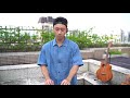 《白月光與朱砂痣 銀河與星斗》【sam lin cover】