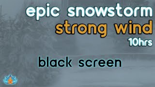 [Black Screen] Epic Snowstorm | Strong Wind Sounds | Snow Storm Sounds for Sleeping