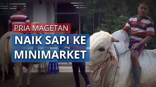 Heboh Pria Singolungu Magetan Menunggangi Sapi dari Dusun ke Minimarket