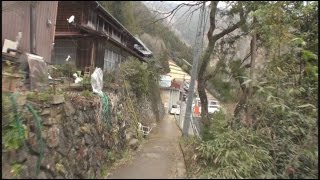 M166 奥多摩むかし道ハイキング-6 ＜浅間神社～石の道標＞