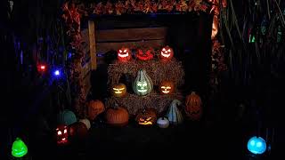 Singing Pumpkins perform Grim Grinning Ghosts.