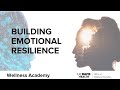 What is Mindfulness? Exploring Cognitive Neuroscience with Professor Philippe R. Goldin