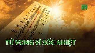 Cụ ông 80 tuổi ở Hà Tĩnh tử vong vì sốc nhiệt | VTC14