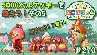 【ポケ森】5000ベルクッキーを食らう！その5#270【どうぶつの森：ポケットキャンプ】