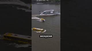 Что делает автобус в воде? 🌊 🚌 😱 #факты