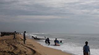 Pattinapakkam Fishing Boats - 2