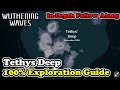 Tethys Deep 100% Exploration Guide Wuthering Waves Tethys Deep All Chests & Collectibles