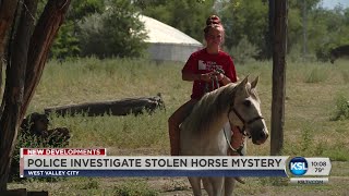 Horse Reported Stolen Found In West Valley; Police Investigating Theft