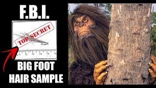 The F.B.I. Releases Evidence Of Bigfoot After 40 Years.