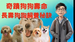 奇蹟狗狗壽命,長壽狗狗飼養秘訣