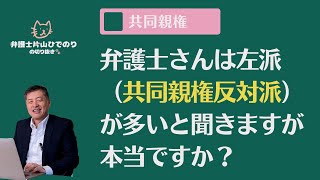 【共同親権】弁護士さんは左派（共同親権反対派）が多いと聞きます。弁護士に向けた共同親権問題の周知活動は無駄ですか？