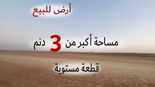 #699 الأردن: قطعة أرض في القنيطرة/ الكدراوي الشمالي - تبعد 10كم عن الطريق الصحراوي