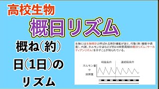 高校生物「概日リズム（サーカディアンリズム）」