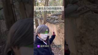 兵庫県たつの市龍野町。龍野神社。祭神脇坂安治【初代脇坂家頭首。賤ヶ岳7本槍】朽ち果てれば二度と同じものは出来ない。　#たつの市　#龍野町 #賤ヶ岳7本槍　#脇坂安宅　#脇坂安治