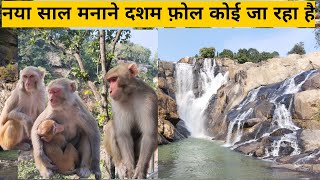 रांची का प्रसिद्ध पर्यटन स्थल दसम फॉल || Jharkhand tourist place in ranchi || Dasam Foll Ranchi