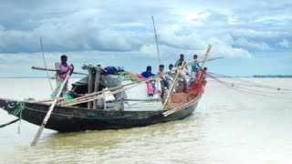 দেখুন কিভাবে পদ্মায় মাছ শিকার করা হয় - পিওর বাংলা নিউজ