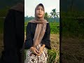 #Shorts Neng mala gadis desa | Gadis desa cantik | gadis desa kita