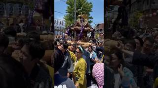 【浦安三社例大祭】令和6年浦安三社祭 2024 清瀧神社〜宮神輿 「まえだーまえだー」の掛け声 #shorts