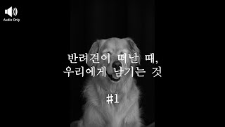 [1부] 반려견이 떠날 때 우리에게 남기는 것 ㅣ 오디오드라마ㅣ 오디오영화ㅣASMR 드라마 ㅣ 라디오사연 ㅣ 오디오무비