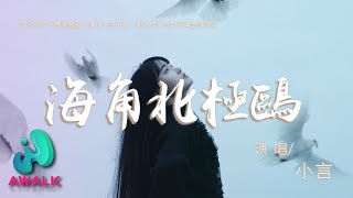 小言 - 海角北极鸥『海和天哪一边某种蓝，让我一尘不染，要为你失色的羽翼全部填满。』【动态歌词 | Pinyin Lyrics】【十二月新歌】【AWALK MUSIC】