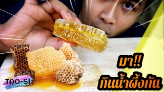 กินรังผึ้ง ฉ่ำๆ หวานๆ อร่อยมากก!!  ASMR | TAO-SI CHANNEL