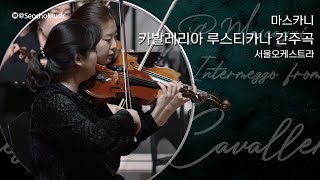 [4K]🎤 서울오케스트라 - 마스카니: 카발레리아 루스티카나 간주곡