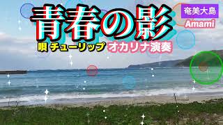 青春の影·チューリップ·歌詞付き·977曲目·オカリナハイビスOcarina Hibi's