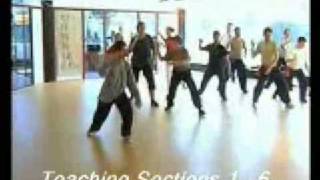 Tai Chi 太極拳 Seminar 24 Short Form