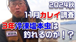 2024秋11月のカレイ調査！３年もの塩ホンムシ１キロで挑む！　【魚神の釣りいかれへんわ】