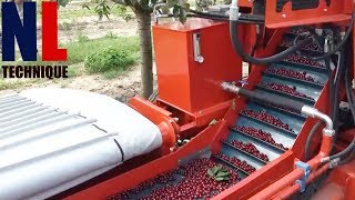 Cool and Powerful Agriculture Machines That Are On Another Level Part 13