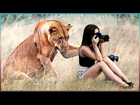 Which animal is friendly with human beings?