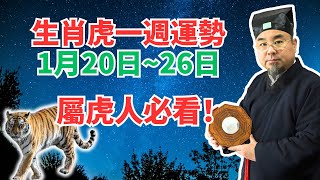 命理測算：生肖虎一週運勢（1月20日至26日），有吉凶日提醒，屬虎人必看！ #2025年生肖虎運勢 #2025年生肖虎運程 #2025年屬虎運勢 #2025年屬虎運程