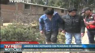 Ladrones recibieron peculiar castigo en Cajamarca: picaduras de hormigas