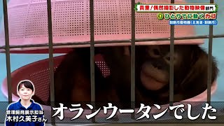 ひとりでに動くカゴ［釧路市動物園］『ZOO-1グランプリ』11/30(火)【TBS】