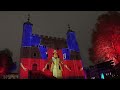 a very respectful remembrance day 2024 tower of london