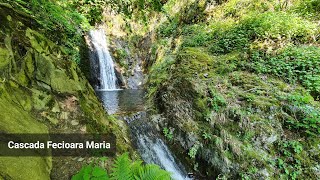 Cascada Fecioara Maria - Parcul national Domogled-Valea Cernei, jud. Caras-Severin