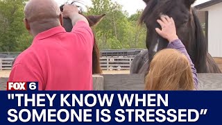 MKE Urban Stables equine therapy helps veterans with PTSD | FOX6 News Milwaukee