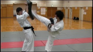 心想流空手・練習（上段廻し蹴り） shinsou-ryu karate practice 2 joudan-mawashigeri